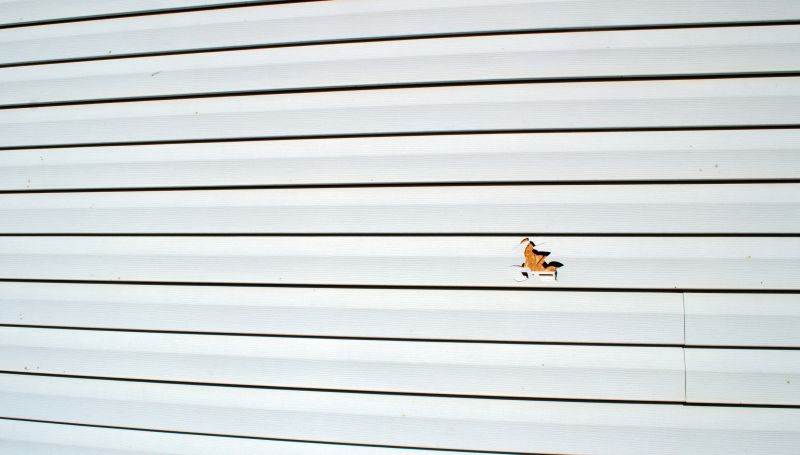 Vinyl Siding Repair Image 11